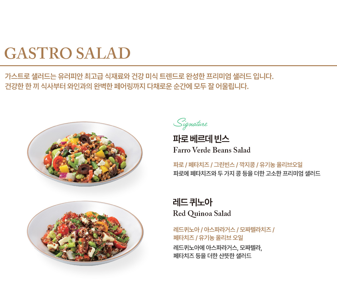 GASTRO SALAD 메뉴